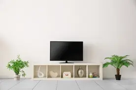 使用电视家应用观看IPTV电视直播频道图片