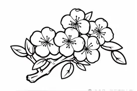 樱花的手绘线稿图，收藏备用图片