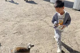 孙子戏玩无锡动物园图片