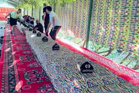 新疆跟团游那些“坑”图片