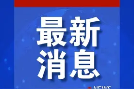 定制公交用“花式整活”创收图片