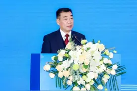 新疆维吾尔自治区政府原党组成员黄三平被查图片