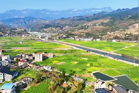 春有约，花不误！桐梓县12.78万亩油菜花竞相绽放图片