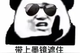超喜欢的熊猫表情包图片
