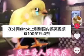 笑喷！难怪老外要禁国际版抖音，网友：果然洋相还是洋人出的好看图片