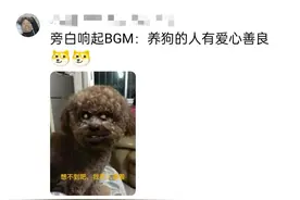 别冲动！一男子踢飞没拴绳的狗，女子拿着菜刀质问，网友炸锅了！图片