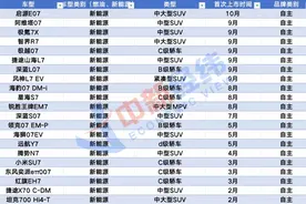 新车取名，为何爱用“7”？图片