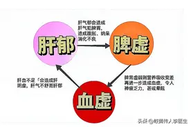 健脾的最大王牌 一次讲清！顺序做对了，没有健不好的脾图片