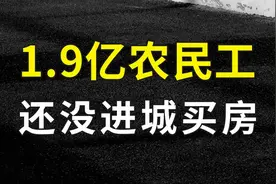 “老乡，别走”：1.9亿农民工，还没进城买房呢！图片