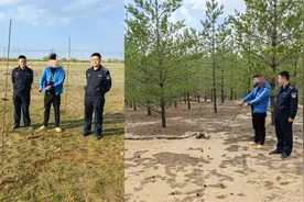 金雕、大鵟、雕鸮、红隼......乌审旗一人猎捕、收购、出售濒危野生动物案被判刑图片