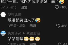 笑麻了！伍佰澳门演唱会。我却差点笑死在网友们的评论区！图片