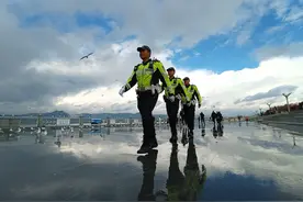 绿衣铠甲，使命必达图片