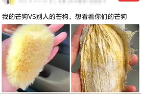 笑麻了！每天上一当，当当不一样，年轻人：我被“芒狗”骗了！图片