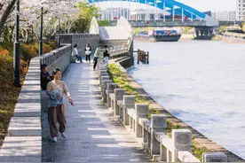 在苏州，赏浪漫樱花，品“运河记忆”！图片
