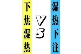 湿热难清！下焦湿热和湿热下注 你真的能分清吗，调理方向大不同！图片