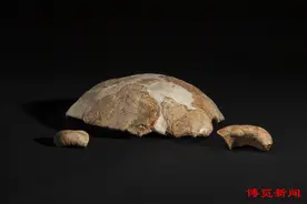 【何以中国】让历史古迹散发“留量”魅力——淄博市文化遗产保护利用观察图片
