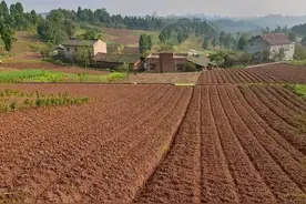 都是哪些人在说土地是国家的呢？不要忘了没有农民就没有国家！图片