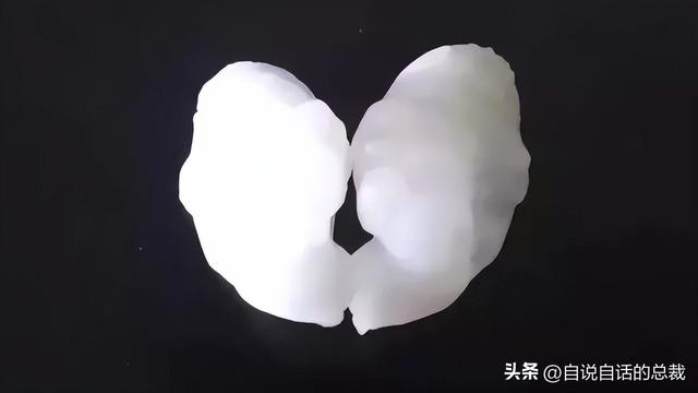 巴西黄鱼胶多少钱一斤 2026年巴西鱼胶便宜吗