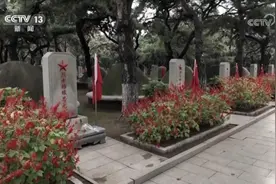 微视频：祖国不会忘记图片