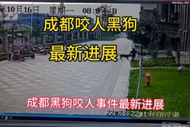 成都恶犬咬人事件终结！黑犬被捕获，白犬无罪释放？图片
