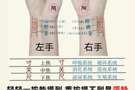 中医把脉六步简易教学，新手也能快速上手，学会了给家人看！图片
