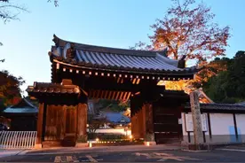 日本山口市入选全球最值得去的旅游目的地，最佳治愈旅行地……图片