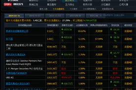 高盛、摩根、科威特抱团买成十大股东，这6个公司被外资疯狂重仓图片