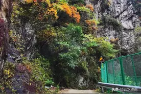 本来只想探访柞水木耳小镇，谁知道却发现了一个红叶漫天的桃花源图片