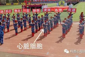 窦性心律是什么意思？图片