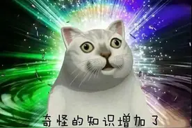 在河南，为啥有的地方管爹叫伯管叔叫爹？ | 豫记图片