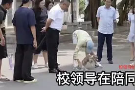 全红婵去学校接姐姐过节，校领导围观全妹遛狗，奥运冠军气场太强图片
