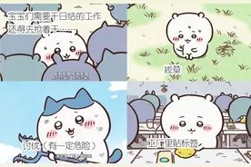 这只爱说“兄弟你好香”的蓝猫，治愈了多少年轻人？图片