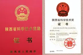 2024年度陕西科学技术奖科技进步奖受理项目名单（749项）-第2页图片