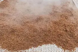 白酒的真实价格图片