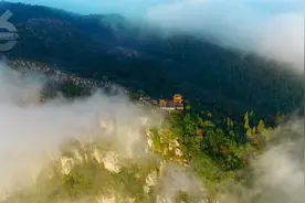 状元及第，鱼跃龙门！龙年春节，最适合去这儿→图片