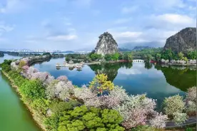 央视《新闻联播》聚焦！肇庆春日美景太太太太火了！图片
