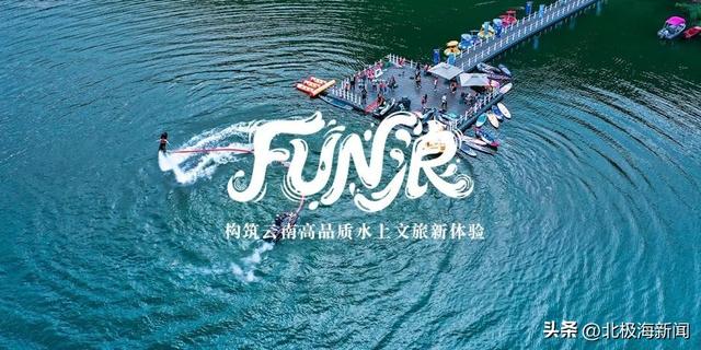 9.864吨松茸乘“丰”启航！2026年迪庆松茸季顺丰全货机正式投运