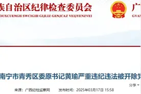 南宁市青秀区委原书记黄瑜严重违纪违法被开除党籍和公职图片