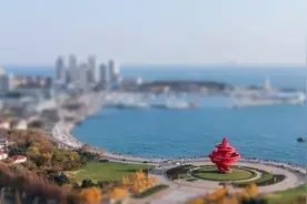 青岛国资狂买模式的得与失图片