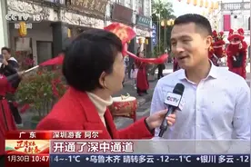 深中通道通车后的首个春节 运营情况如何？带来了哪些改变？图片