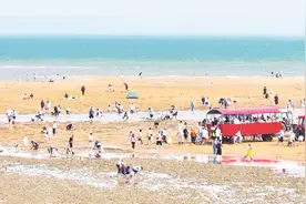 滨海消夏赶海忙图片