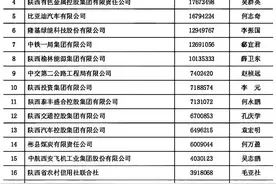 陕西100强企业，名单公布！图片