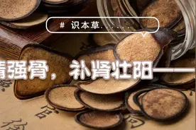 识本草丨生精强骨，补肾壮阳——鹿茸图片