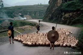 别被电视剧骗了！六七十年代人们的生活，可比你想象的还要精彩！图片