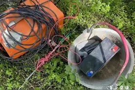 林场惊现电捕蚯蚓 民警快速依法查处图片