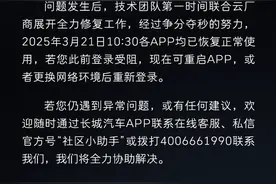 长城汽车就“App崩了”致歉图片