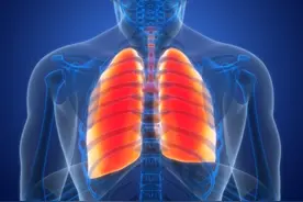 蒲公英加三物，调理全身结节，化瘀散结作用大！图片