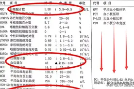 血常规只要这三项指标没有异常，你可以放心了！图片