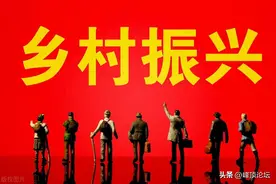“农村土地承包三十年不变”政策的现实困境与制度优化路径图片