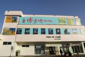 一杯稻田咖啡品出侨乡新味道图片